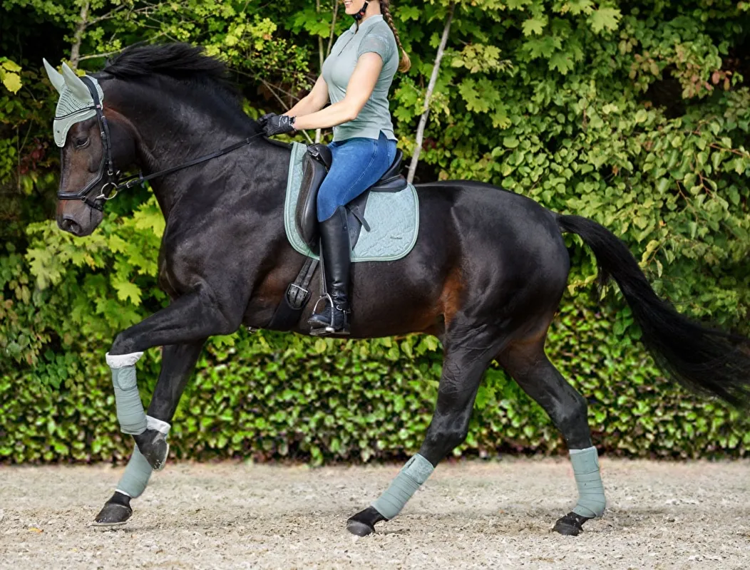 czaprak Felix Buhler Lace, pony,  glacier-green, NOWY - zdjęcie 2