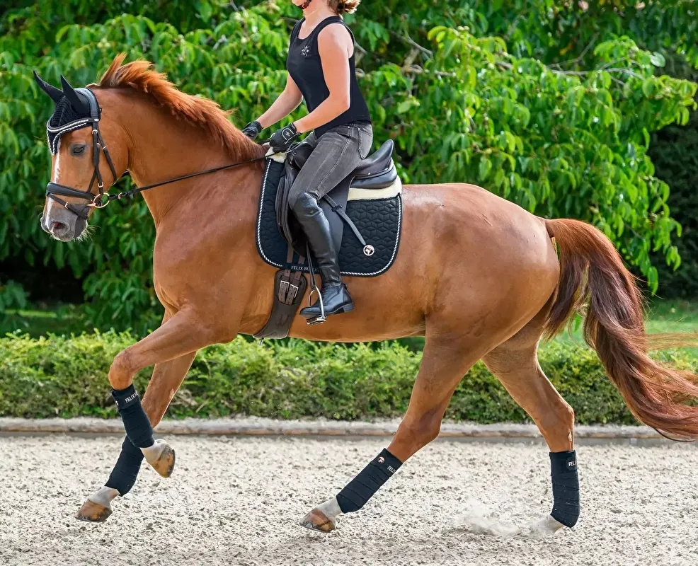 czaprak Felix Buhler World, Pony, granatowy , z futrem, Nowy - zdjęcie 2