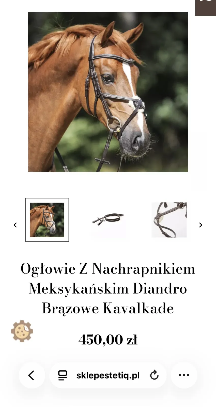 Ogłowie meksykańskie cob - zdjęcie 3
