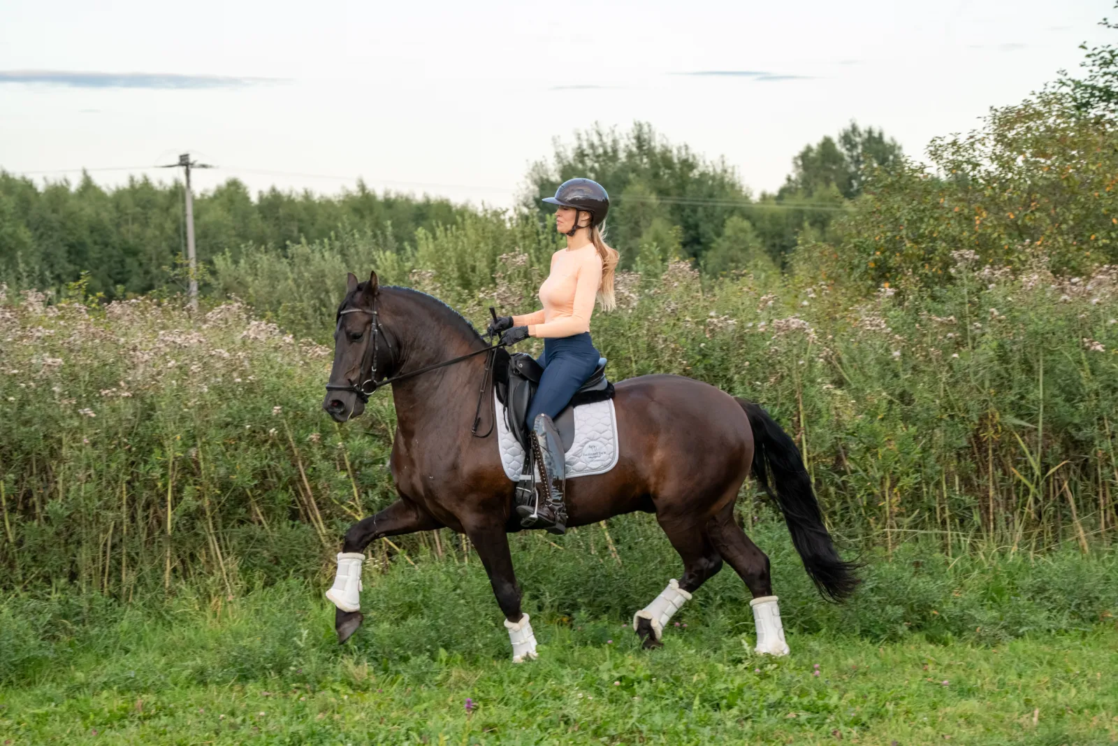 Sprzedam bądź wydzierżawie pięknego karego wałacha - zdjęcie 1