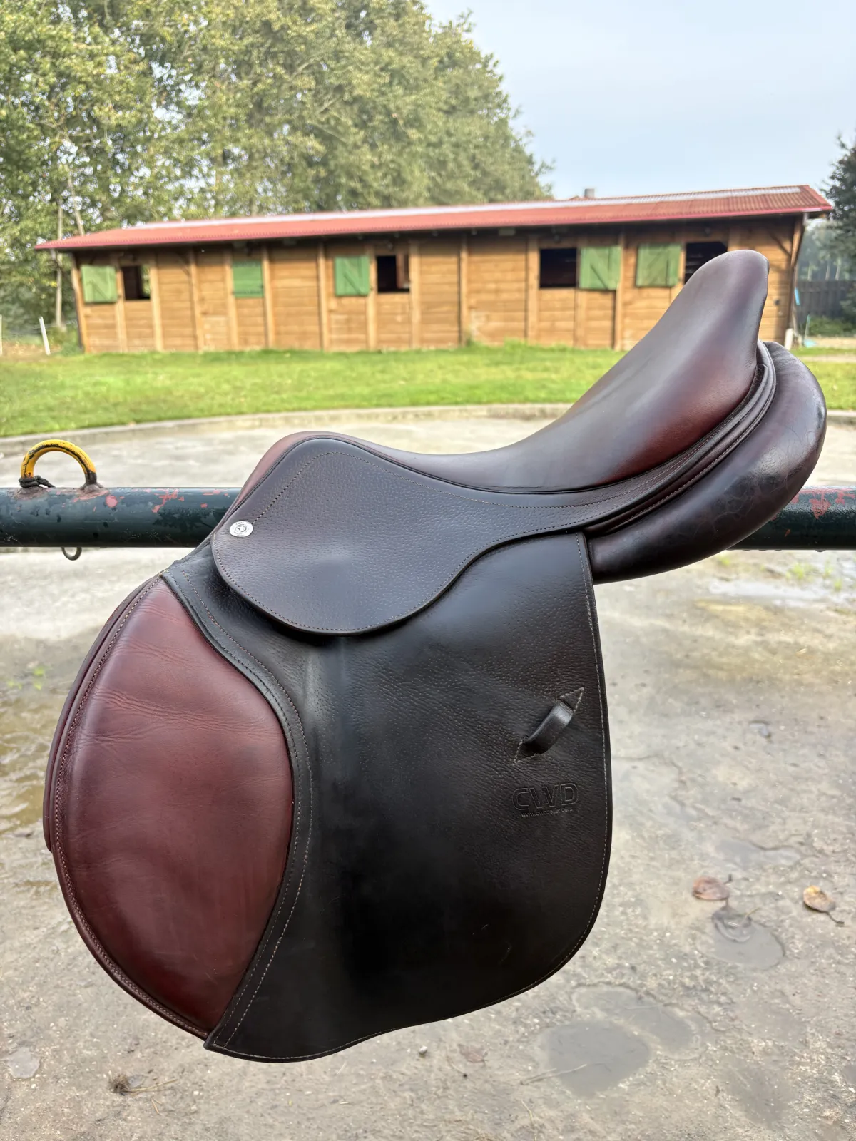 Cwd skokowe - zdjęcie 1