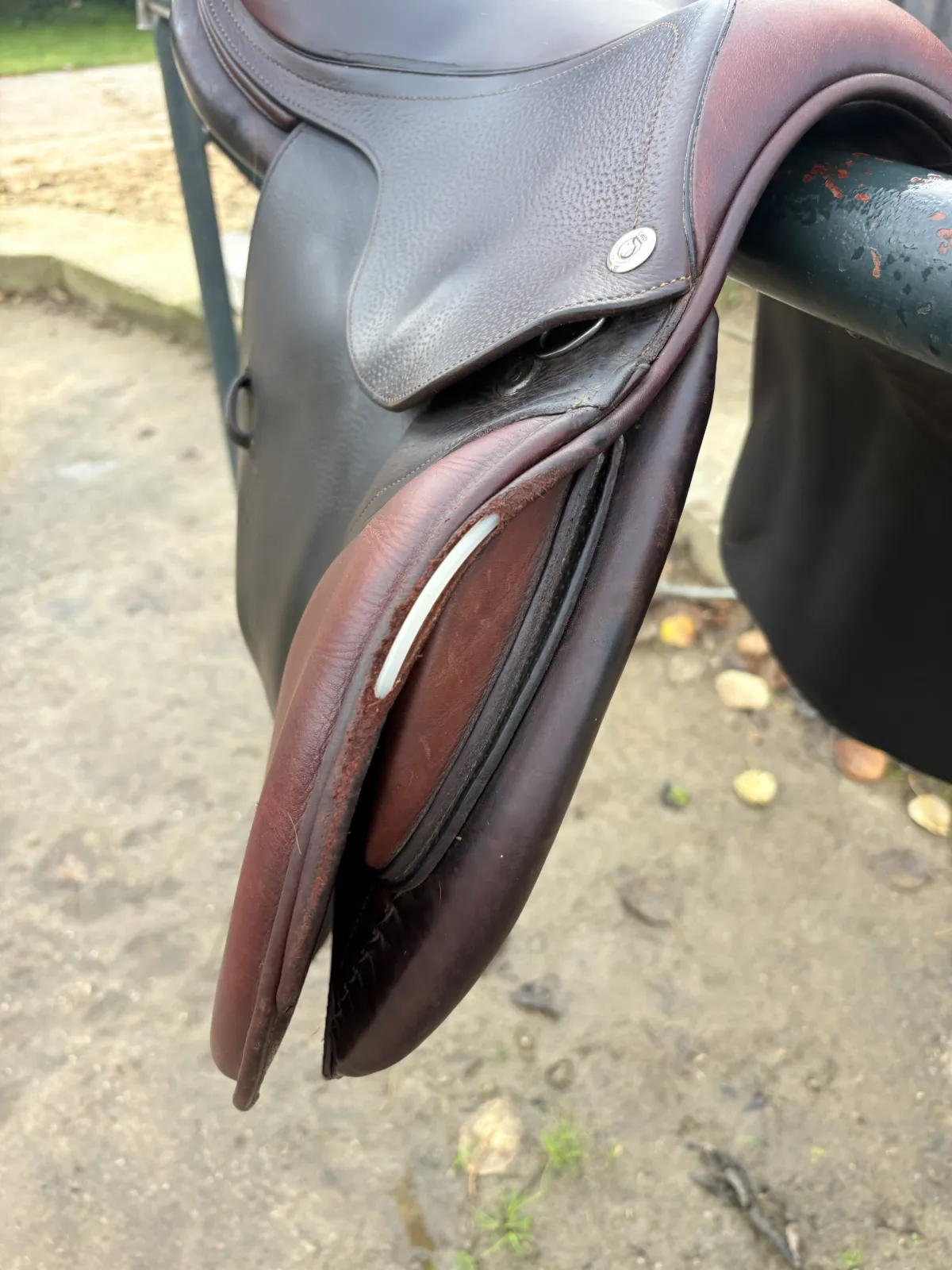 Cwd skokowe - zdjęcie 5