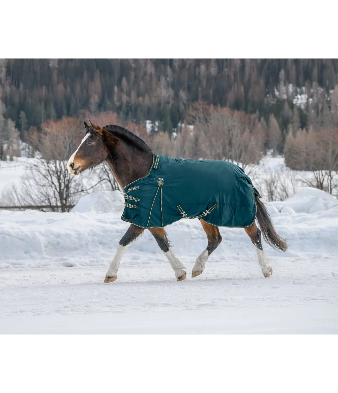 derka Felix Buhler Perfect Fit Nylon PRO Regularneck, tropical-green, r. 145 cm, 0 g, 1680 DEN, padokowa, jak nowa - zdjęcie 3