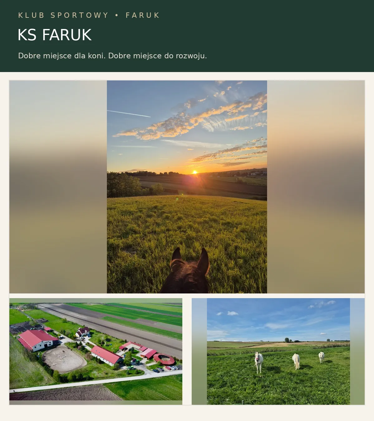 Pensjonat dla koni - hala, pastwiska, karuzela - północna strona Krakowa - zdjęcie 1