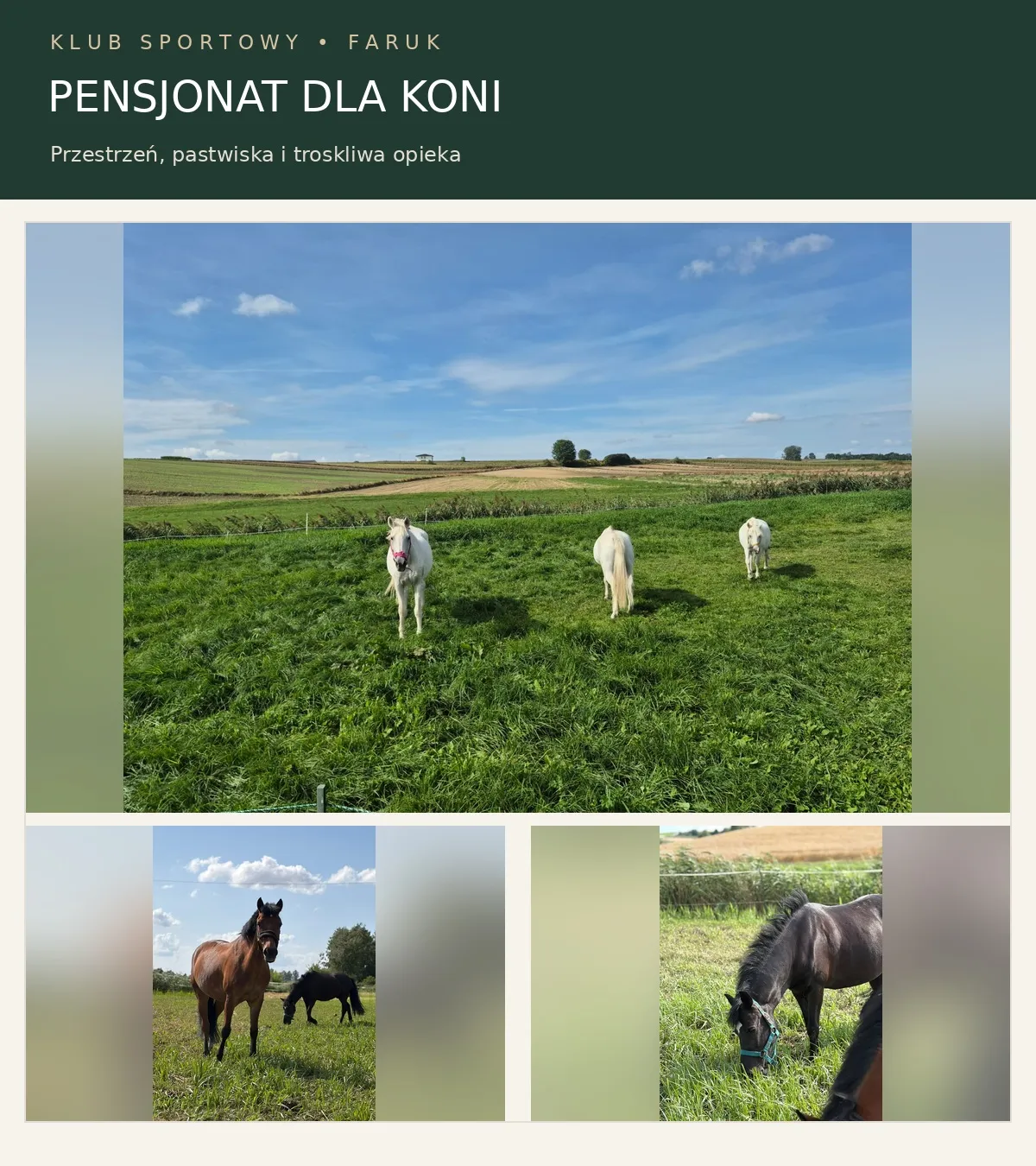 Pensjonat dla koni - hala, pastwiska, karuzela - północna strona Krakowa - zdjęcie 2