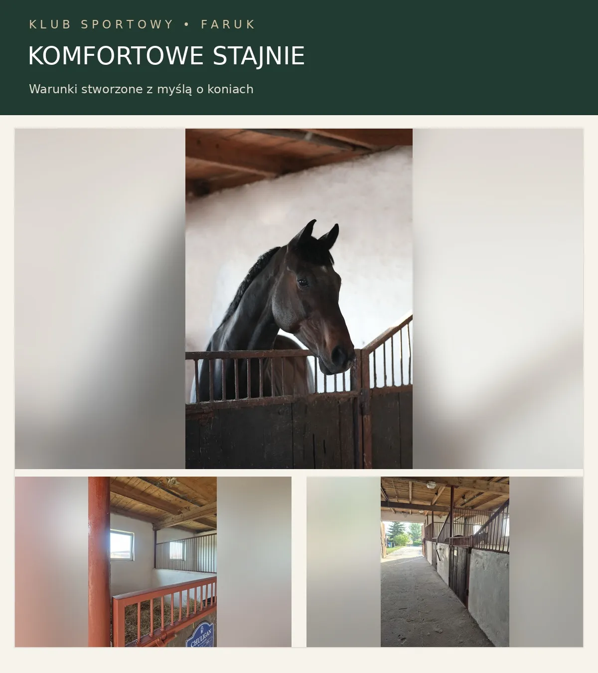 Pensjonat dla koni - hala, pastwiska, karuzela - północna strona Krakowa - zdjęcie 3