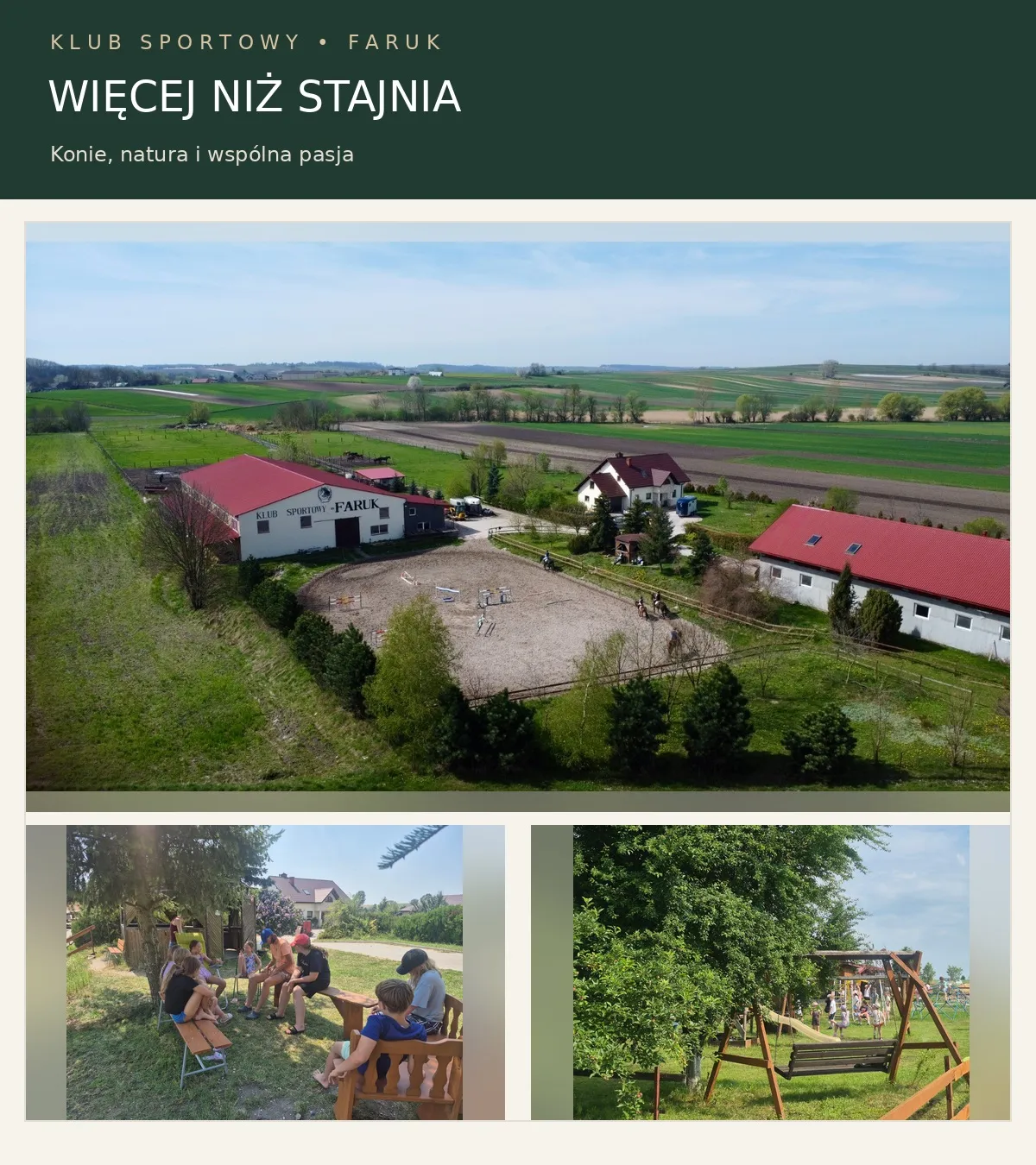 Pensjonat dla koni - hala, pastwiska, karuzela - północna strona Krakowa - zdjęcie 6