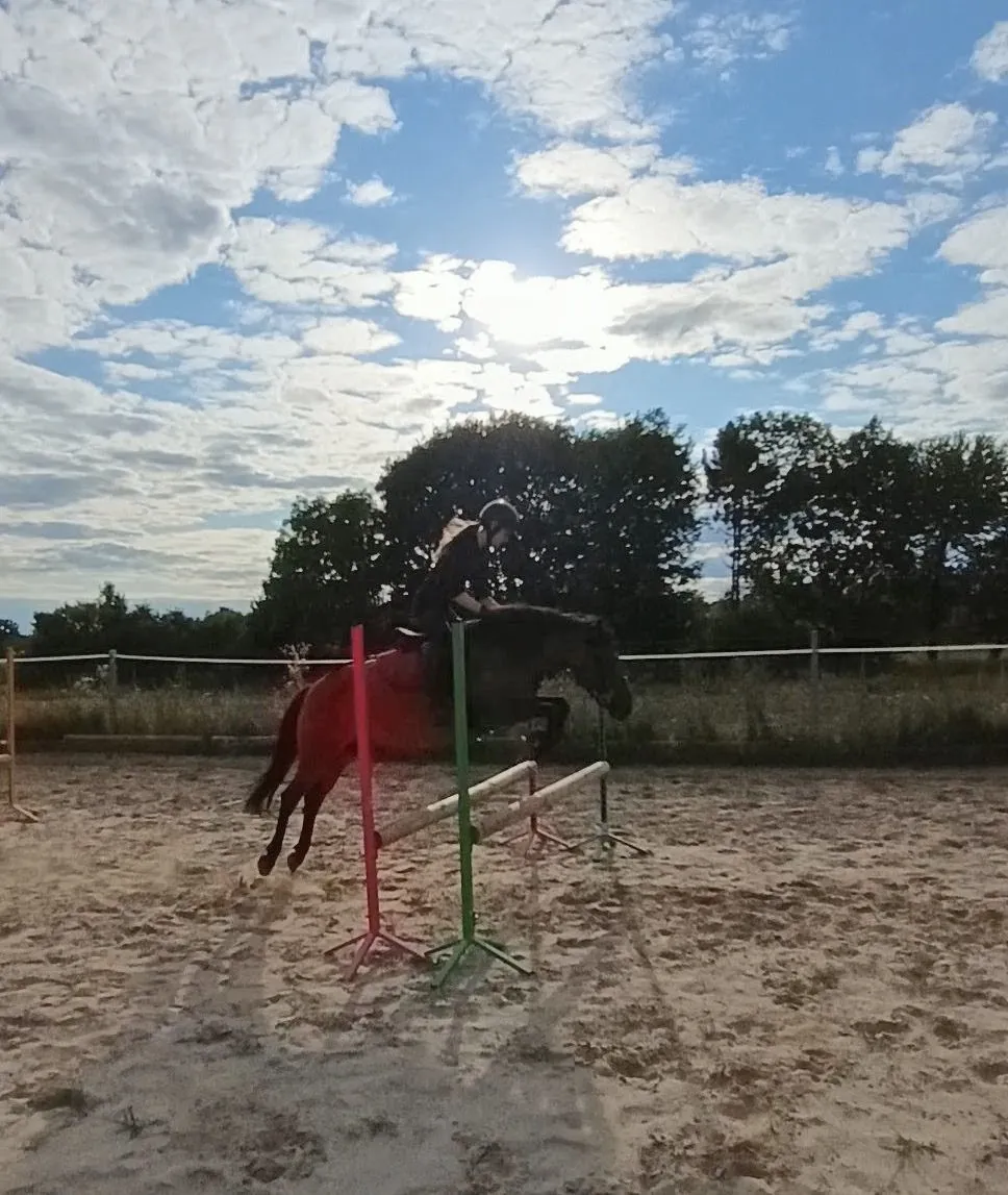 Hucułka, sport/rekreacja/hodowla - zdjęcie 4