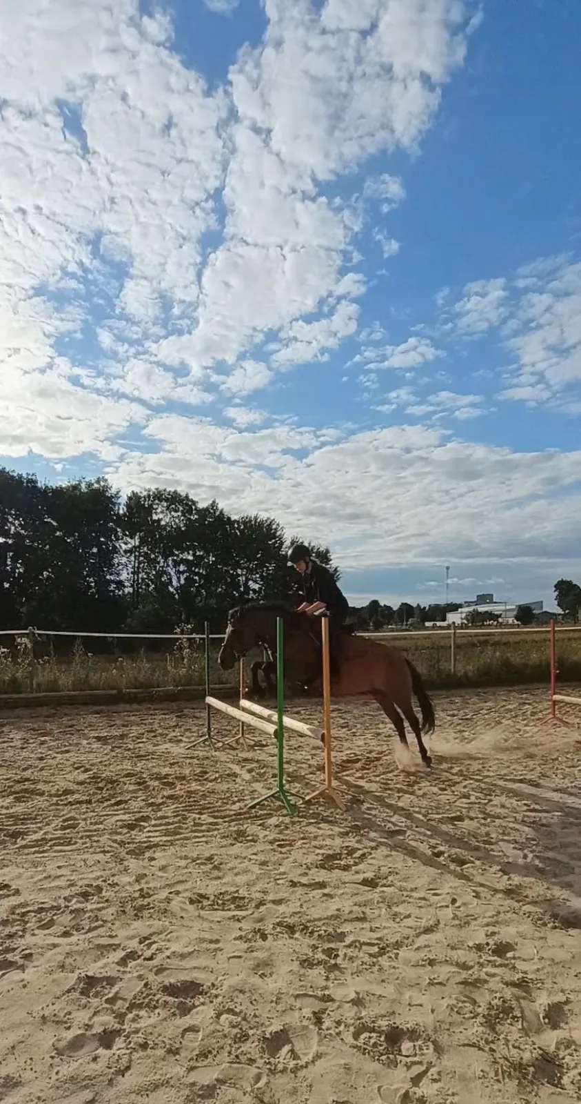 Hucułka, sport/rekreacja/hodowla - zdjęcie 1