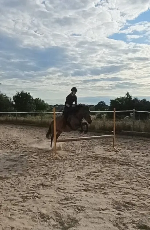 Hucułka, sport/rekreacja/hodowla - zdjęcie 5